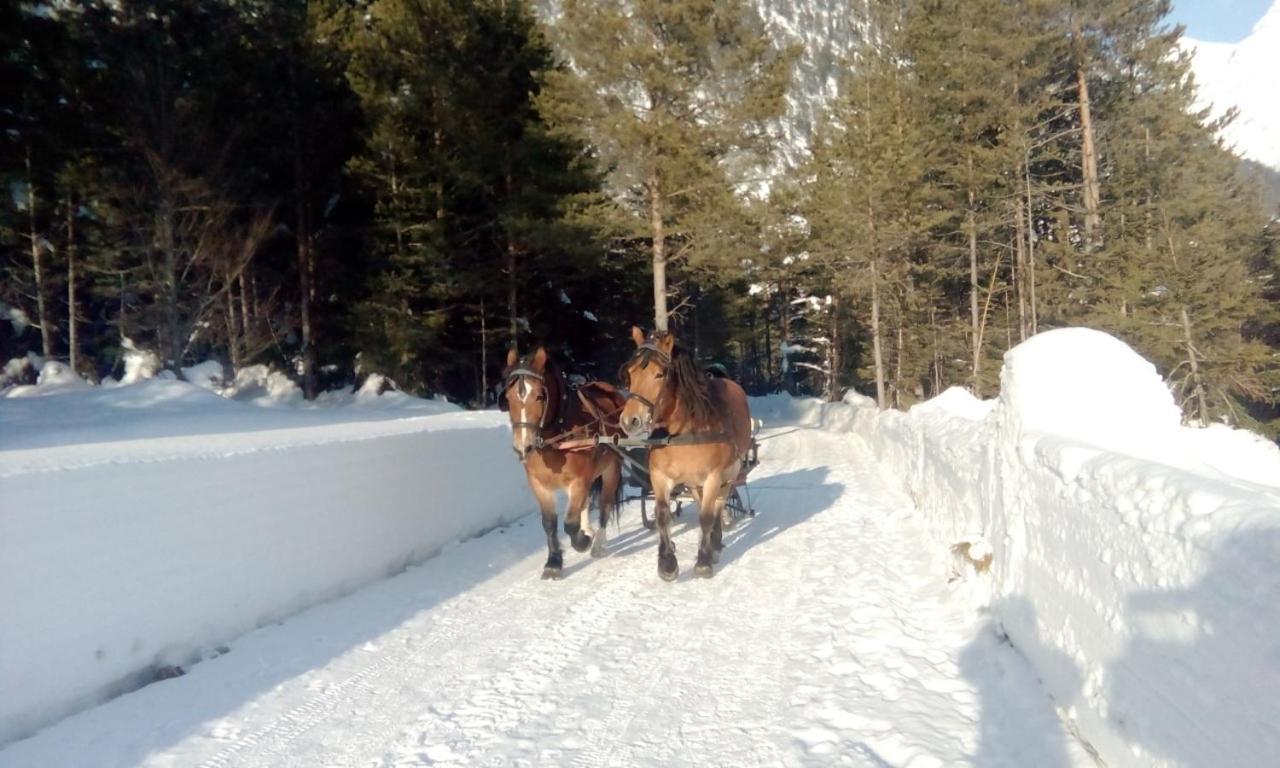 Gasthof Risserhof Шарниц Екстериор снимка